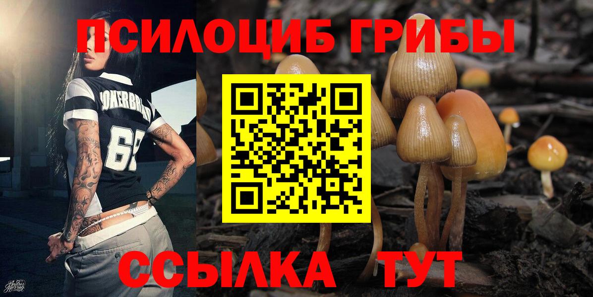 Галлюциногенные грибы Psilocybe  Вход с VPN  Соликамск 